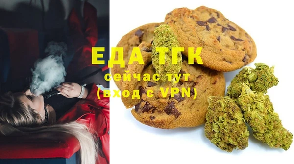 гидра Верхний Тагил