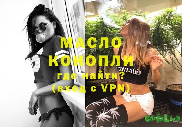 гидра Верхний Тагил