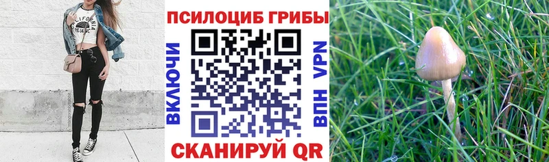 Галлюциногенные грибы мицелий  Духовщина 